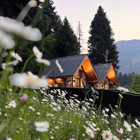 Solomons Gray Villa Tangmarg Exteriör bild
