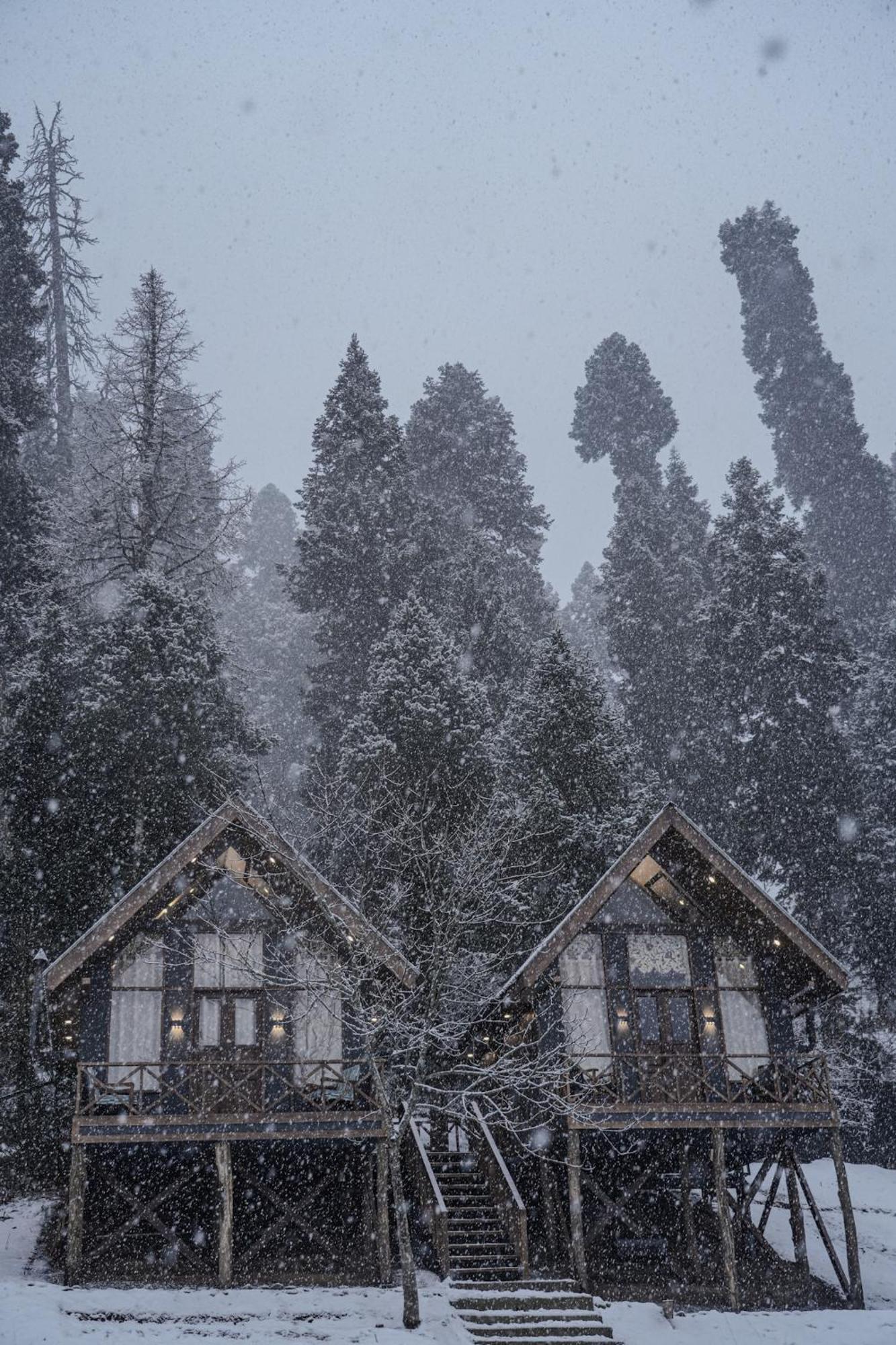 Solomons Gray Villa Tangmarg Exteriör bild