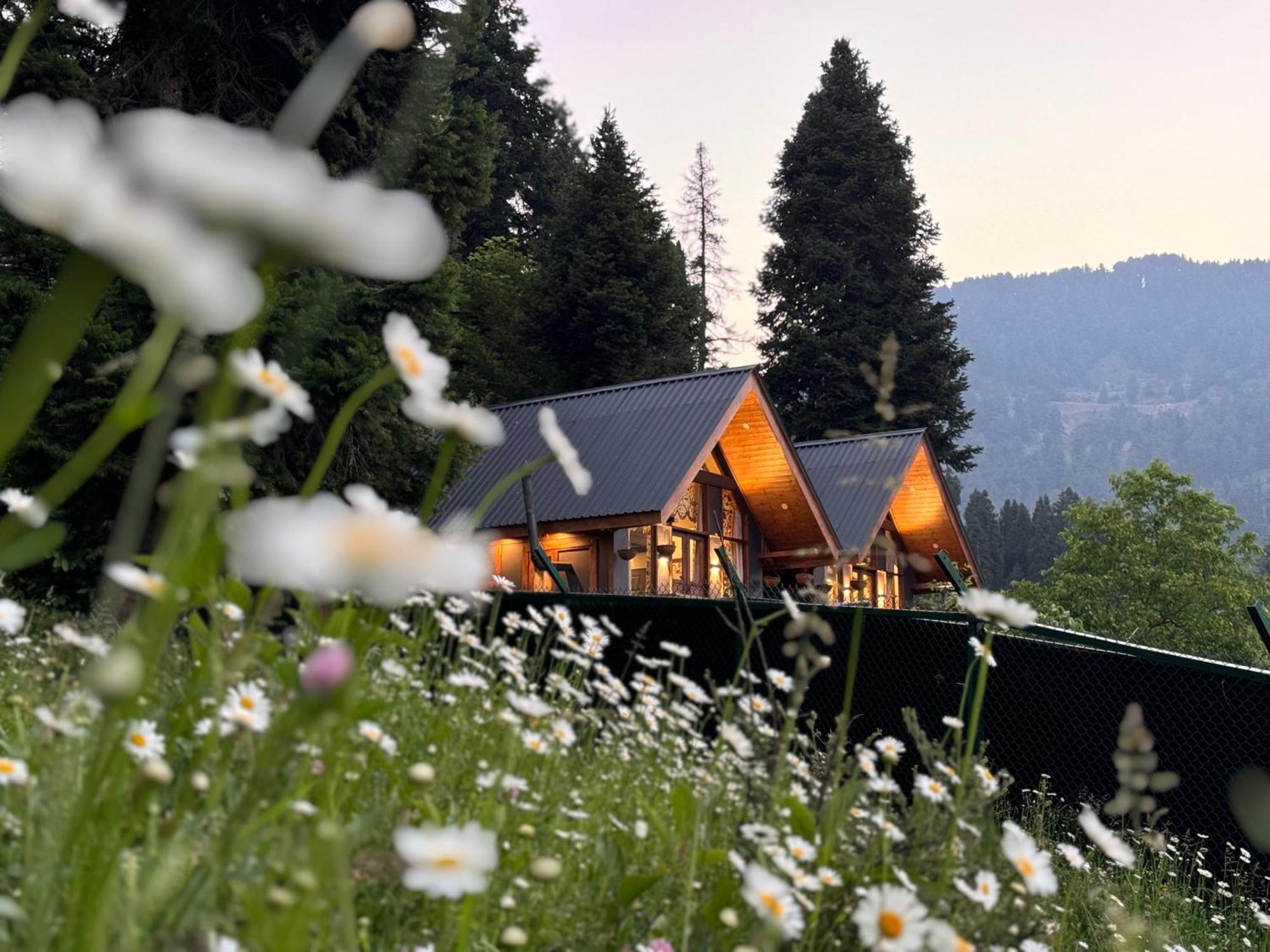 Solomons Gray Villa Tangmarg Exteriör bild
