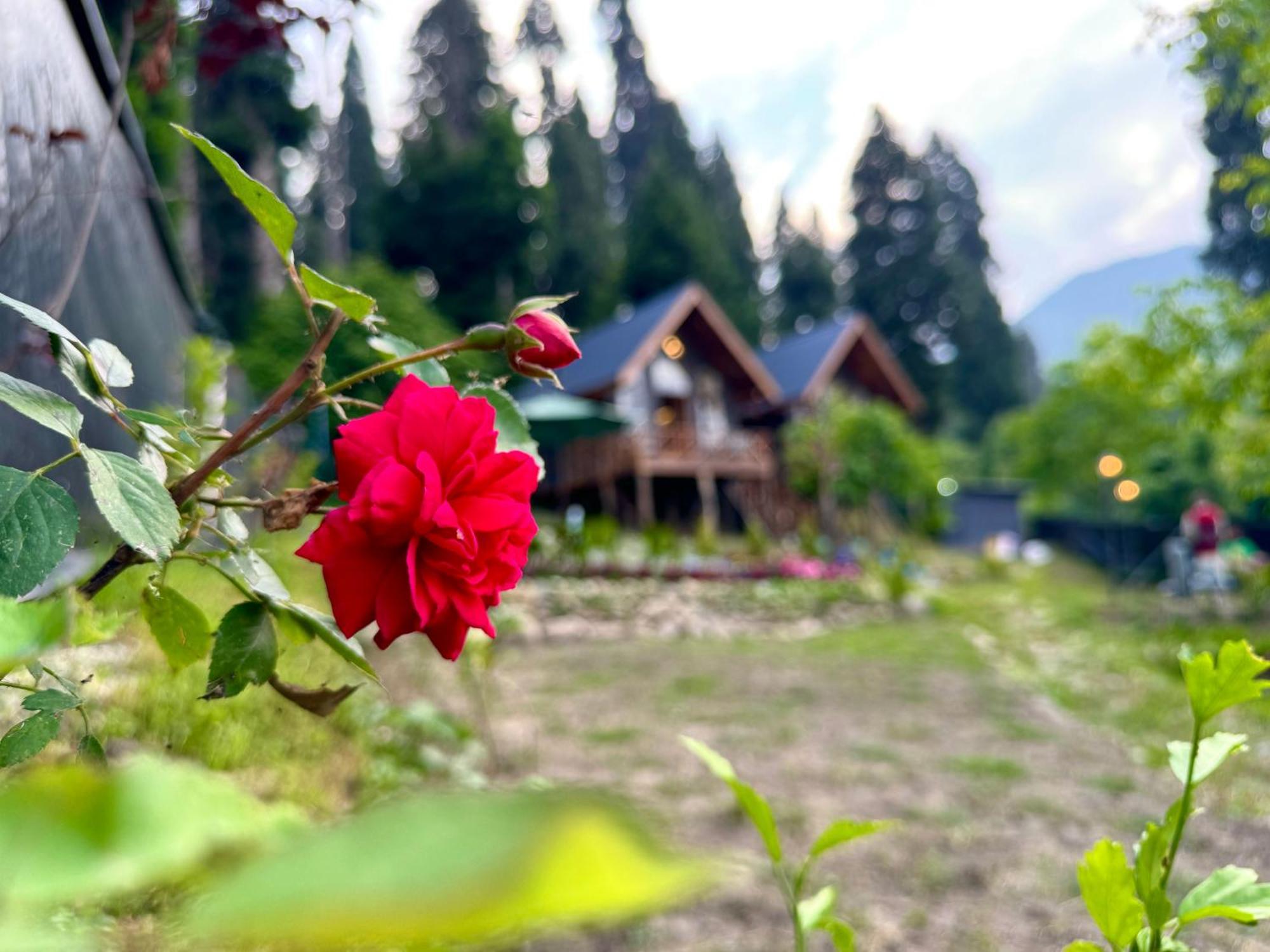 Solomons Gray Villa Tangmarg Exteriör bild