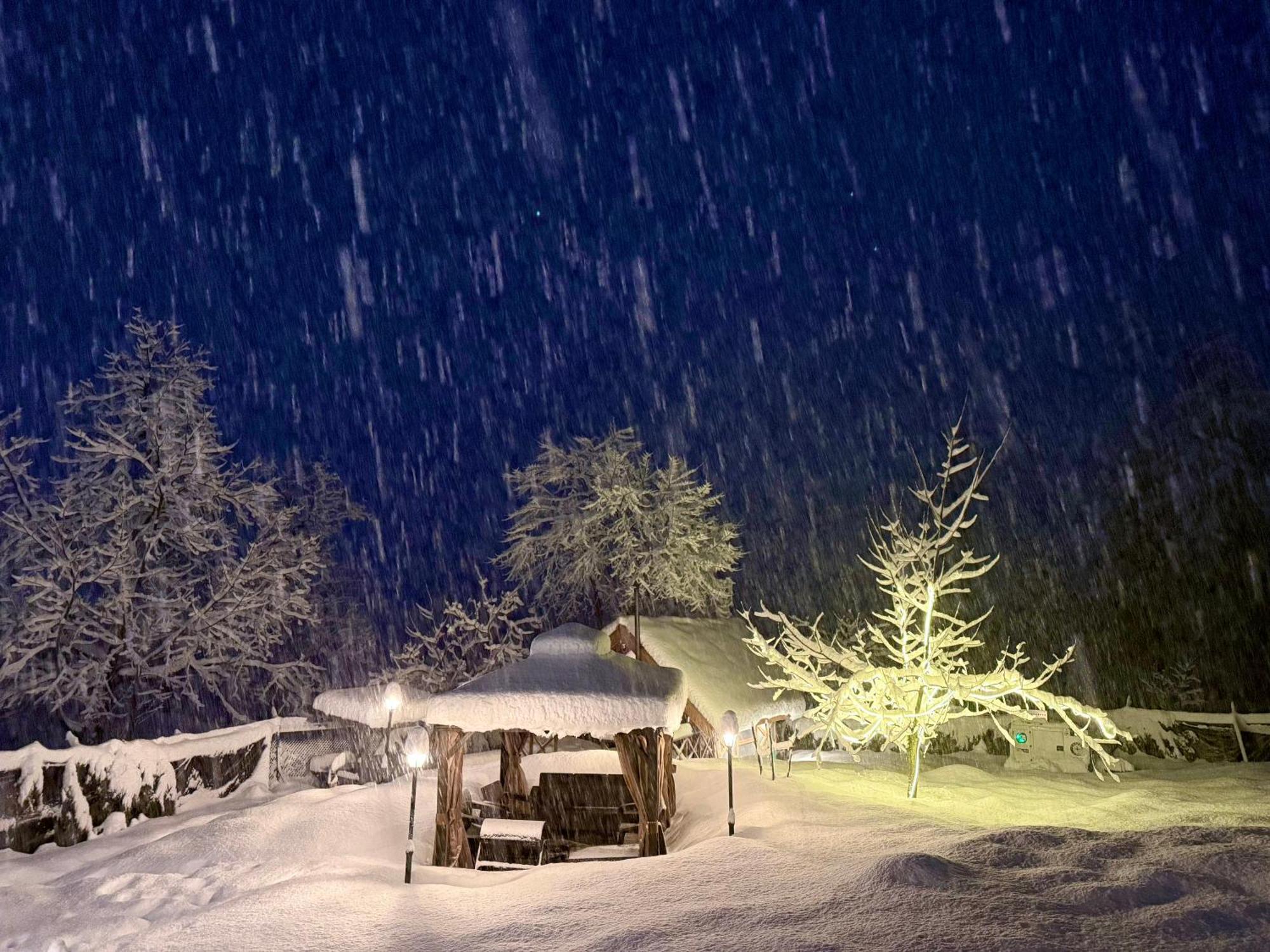 Solomons Gray Villa Tangmarg Exteriör bild